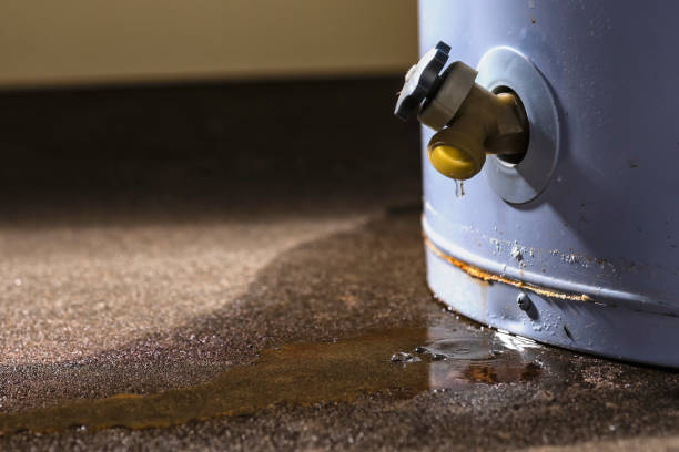 Best Local water damage restoration  in Milwaukee, WI
