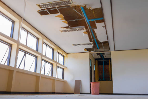 Best Flood damage cleanup  in Milwaukee, WI
