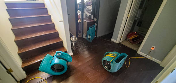 Best Mold removal after water damage  in Milwaukee, WI