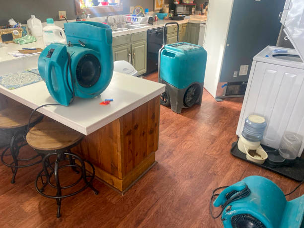 Best Water damage contractors near me  in Milwaukee, WI