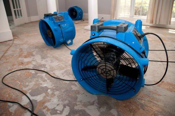 Best Water damage restoration near me  in Milwaukee, WI