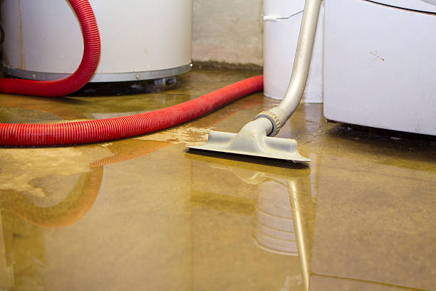 Best Carpet water damage restoration  in Milwaukee, WI