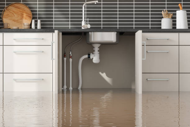 Best Fire Damage Restoration  in Milwaukee, WI