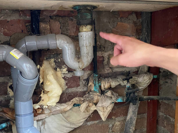 Best Flooded house restoration  in Milwaukee, WI