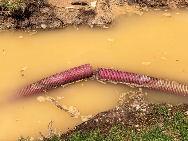 Best 24/7 water damage repair  in Milwaukee, WI